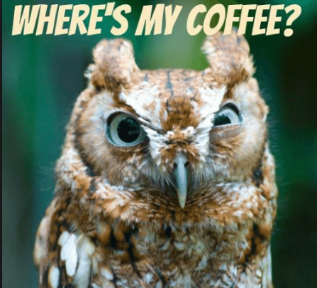 Where's my coffee?