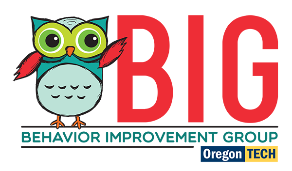 Big Improvement Group - BIG logo
