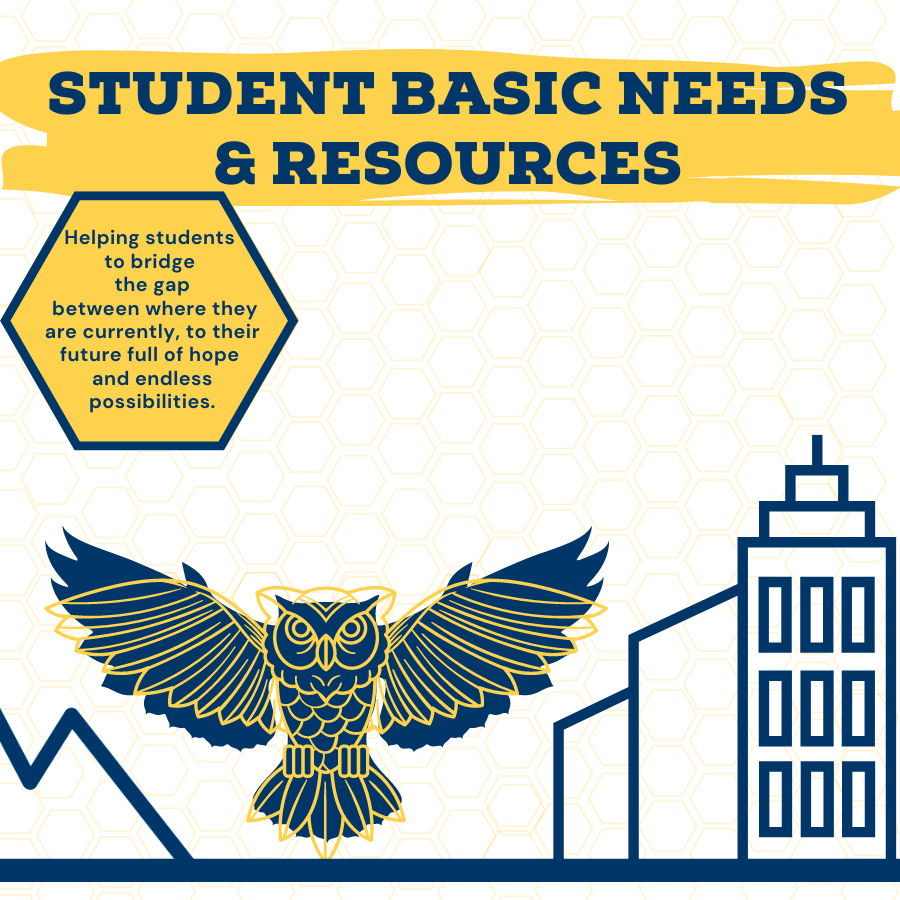 Graphic showing an owl between a mountain and tall building with words "Student Basic Needs & Resources. Helping students to bridge the gap between where they are currently, to their future full of hope and endless possibilities."