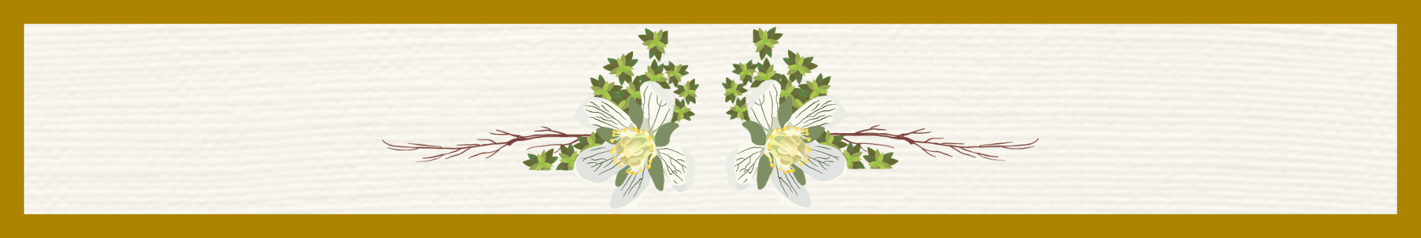 Banner with hand drawn flowers and moss