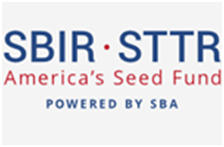 SBIR Logo