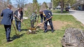 syrnyk_hatcher_hill_naganathan