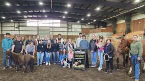 bio_216_horse_activity_experience