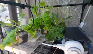 Grow and go solar green house