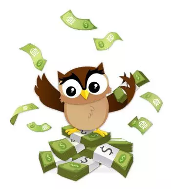 Money Owl