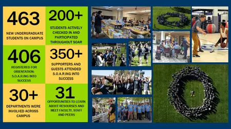 sib_2022_overhaul_data