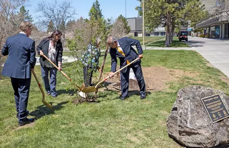 syrnyk_hatcher_hill_naganathan